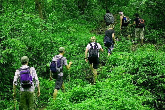 Rainforest Trekking in Kitulgala - Good To Know