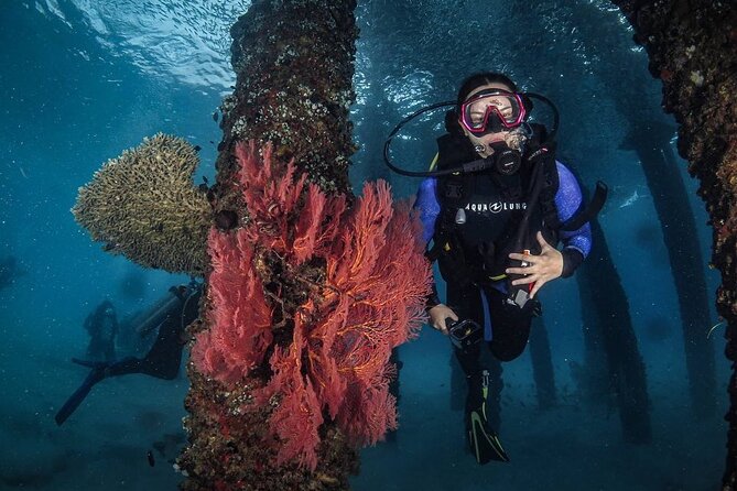 Redang Island Scuba Diving for Beginners - Good To Know