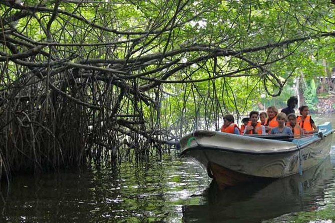 Return Airport Transfers & Bentota Day Tour From Colombo - Good To Know