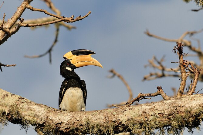 Romantic Glamping Safari Bordering Yala National Park 2- Days - Good To Know