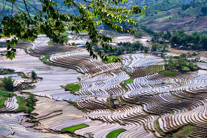 Sapa Loop With Easy Riders- 2 Days 1 Night - Tour Highlights