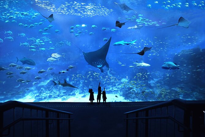 SEA Aquarium+Universal Studio Singapore Combo+Roundtrip Transfer - Good To Know