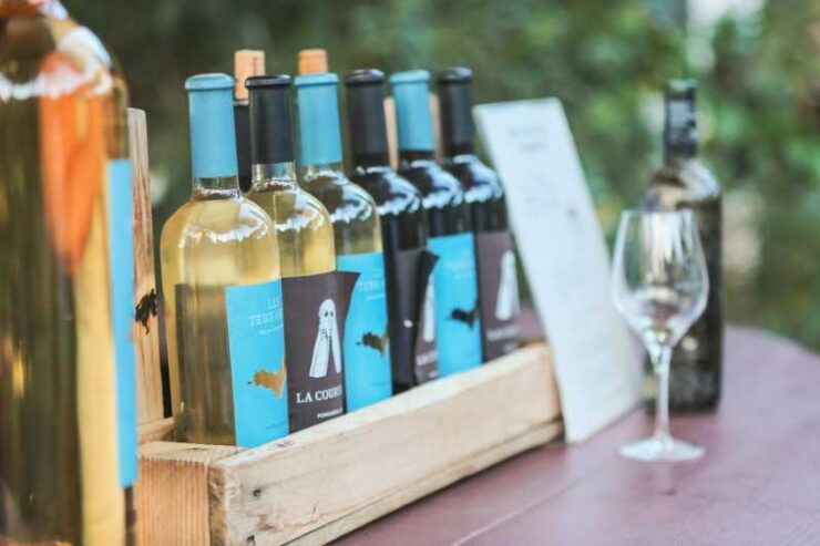 SEA YOU ESCAPE: Wine Tasting Excursion in Porquerolles ☼ - Key Points