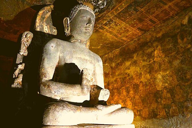 Shore Excursion: Ajanta Ellora From Kochi/Chennai (With Flights) - Private Tour - Location and Inclusions