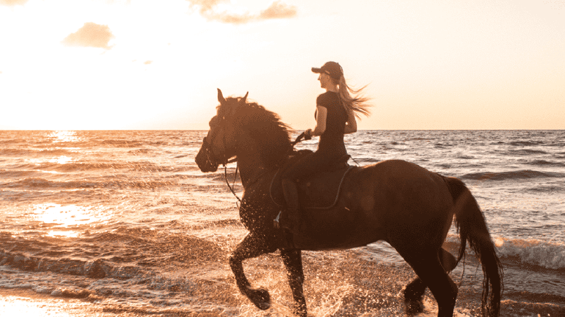 Side: Horseback Riding Tour in Nature With Transfer - Tour Overview