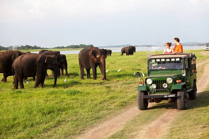 Sigiriya Rock and Jeep Safari Private Tour From Trincomalee - Tour Overview