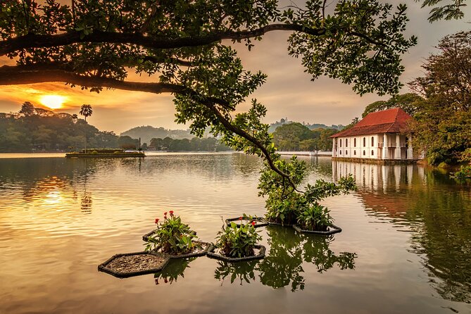 Sigiriya to Kandy Private Transfer With English Speaking Driver - Good To Know
