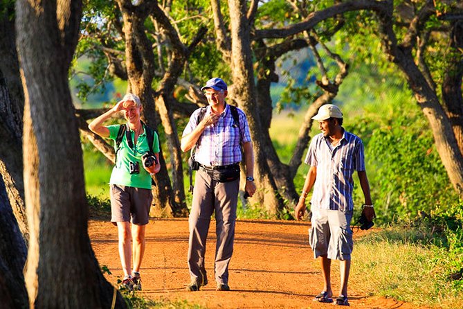 Sigiriya Village Tour From Habarana - Tour Highlights