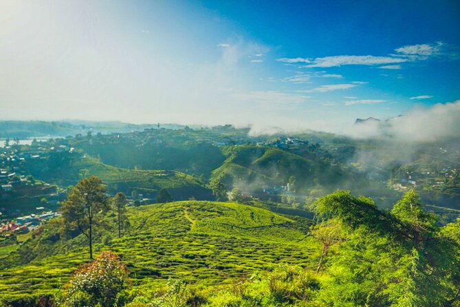 Single Tree Hill Hike From Nuwara Eliya - Good To Know