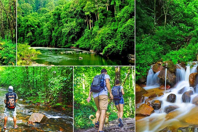 Sinharaja Rain Forest Tour From Udawalawa - Good To Know