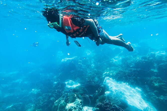 Small Group Snorkeling in Hikkaduwa - Good To Know