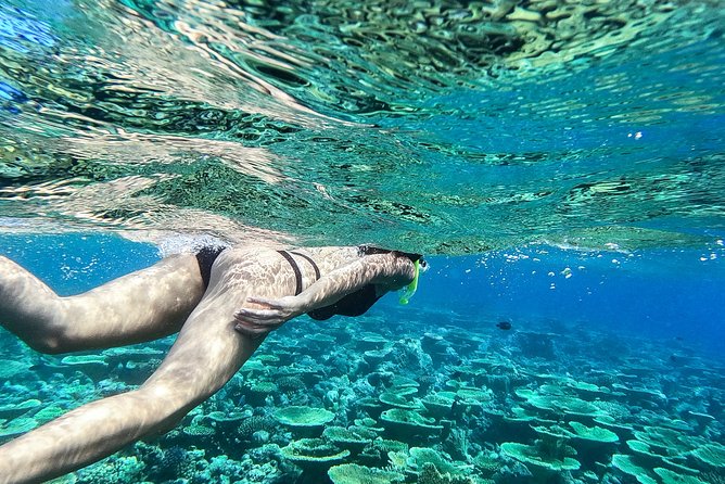 Snorkeling and Villigili Island Tour