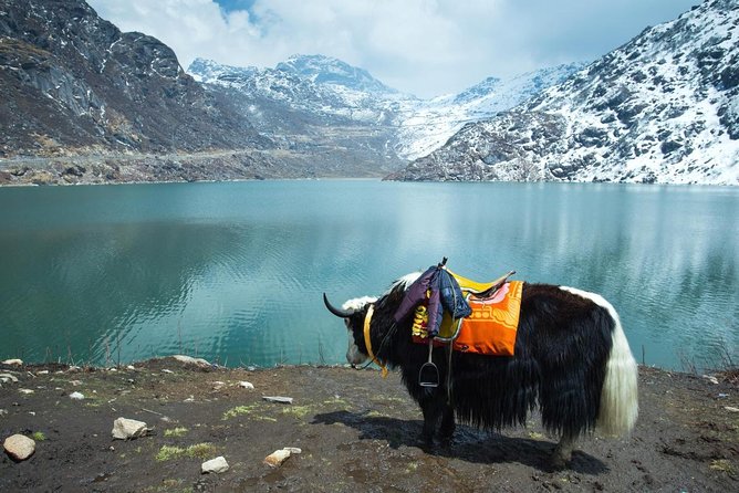 Splendors of the North East India - Good To Know