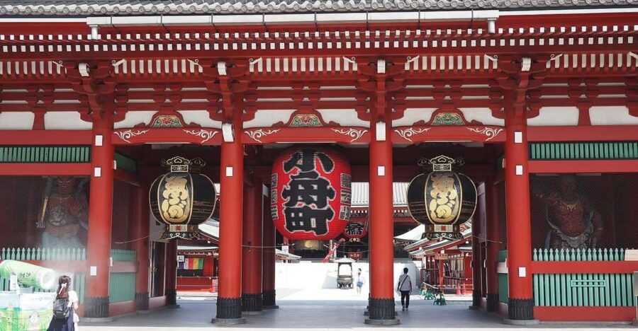 Tailored Private Tour in Tokyo by Govenment Licesed Guide - Overview of the Tour