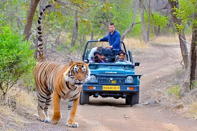 Taj Mahal & Tiger Safari Tour by Car From Delhi 2D 1N - Inclusions