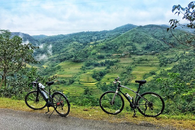 Tea Fields by Bicycle From Kandy - Good To Know