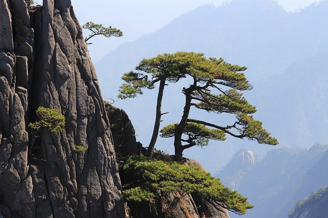 The Best of Huangshan Walking Tour - Good To Know