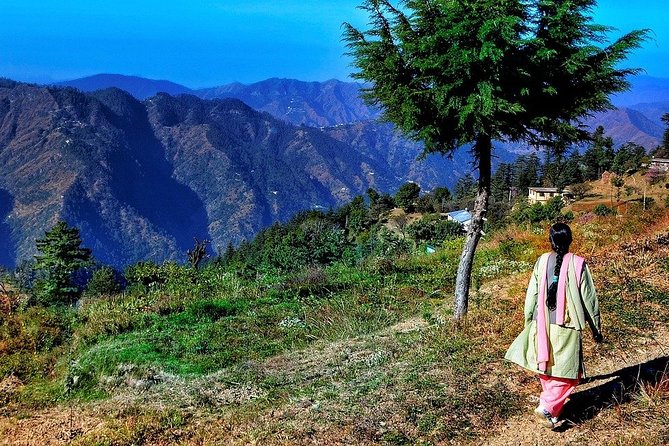 The Best of Shimla Walking Tour - Good To Know