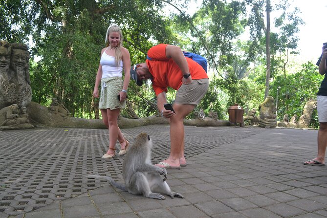 The Best Ubud Tour With Jungle Swing - Good To Know