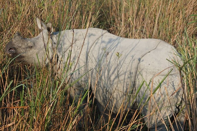 Tiger Reserve and Tribal Village - Good To Know