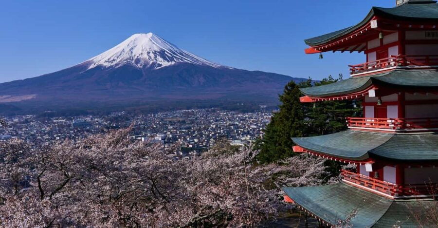 Tokyo Day Trip -Mount Fuji Private Tour From Tokyo