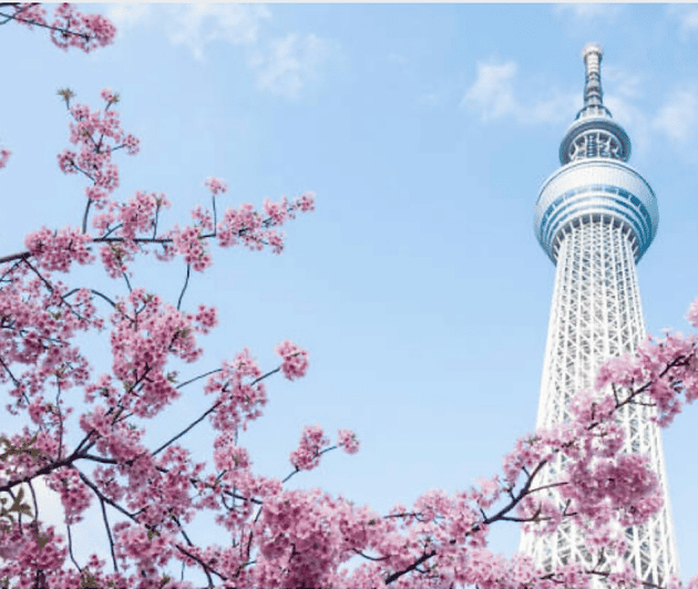 Tokyo Unforgettable Private Tour for Family(Up-To 6 Persons) - Tour Overview