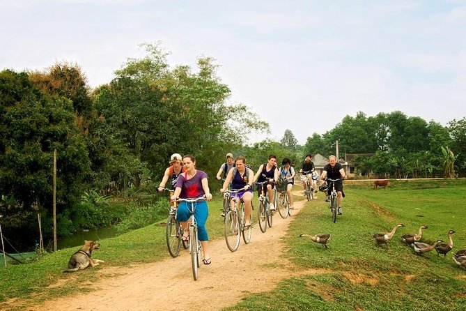 Tour Hoa Lu and Tam Coc With Cycling - Good To Know