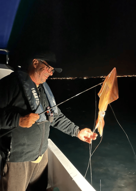 Traditional Squid and Cuttlefish Fishing in Algarve - Scenic Boat Tour