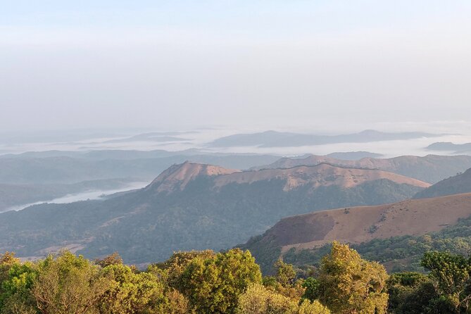 Trek the Kodachadri Summit - Good To Know