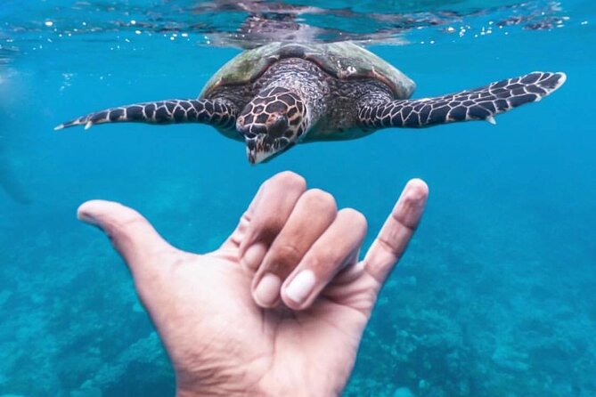 Ukulhas Tour A - 3 Points Snorkeling Tour - Snorkeling Points Overview
