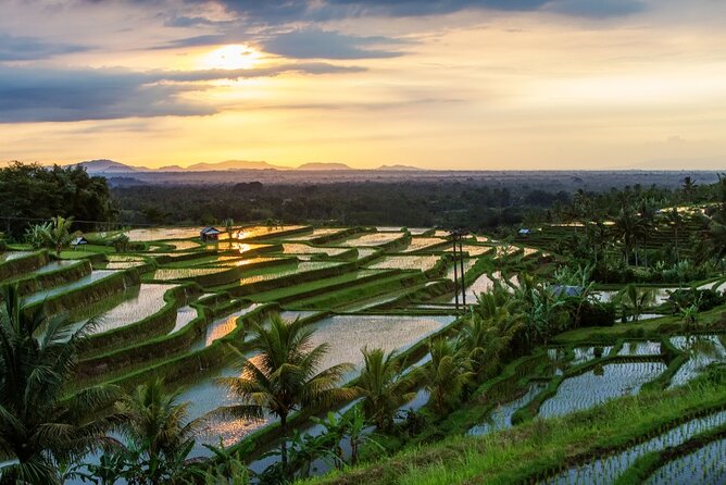 Ulun Danutemple With Tanah Lot Sunset Tour - Inclusions and Transportation