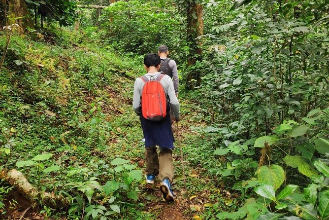 Wayanad Walking Holiday - Good To Know