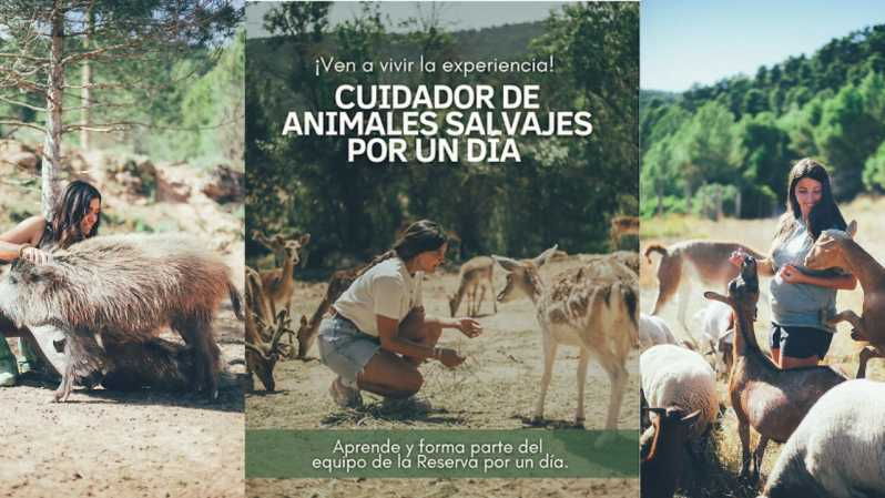 Wild Forest Reserve Foundation - Visit - Overview and Pricing