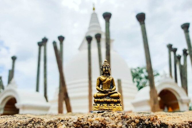 Wild Wonders and Sacred Spaces Tour From Hikkaduwa (2 Days) - Tour Overview