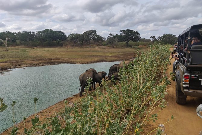 Yala National Park Safari From Unawatuna - Safari Departure Location