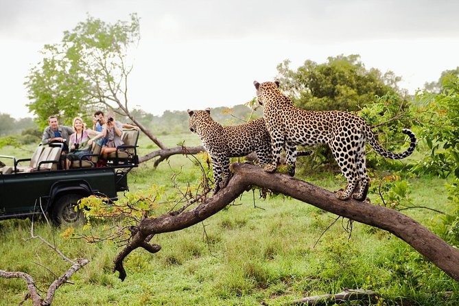 Yala National Park Safari With Safari Jeep & Tickets From Yala - Good To Know