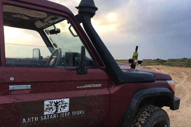 Yala National Park Safari With Transfer From Ella to Arugam Bay - Good To Know