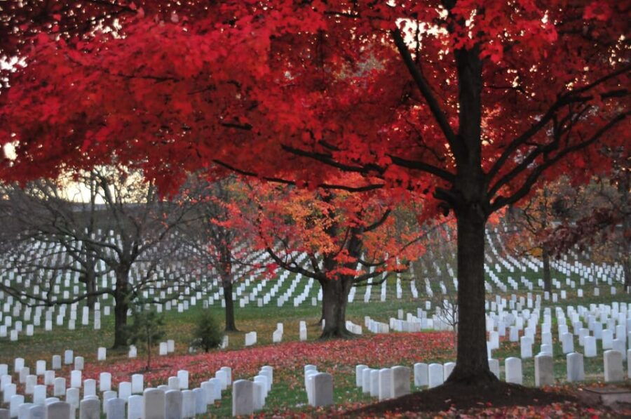 2-Hour Arlington Cemetery Morning Guided Walking Tour - Tour Overview