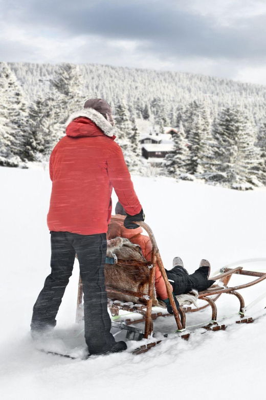4hr Dog Sledding Trip on Finnmarksvidda