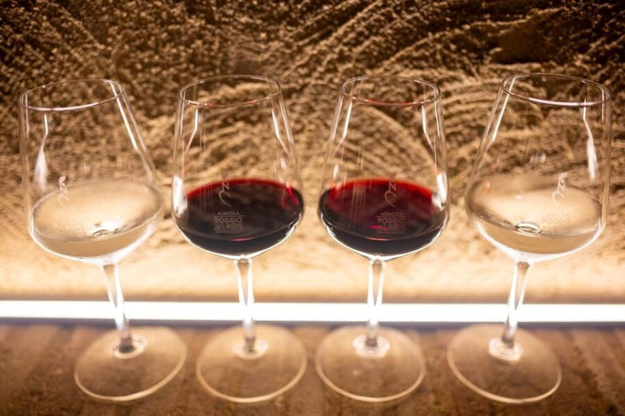Agricola Poggio Ai Laghi: Tasting of Wines, Oils & Vinegars