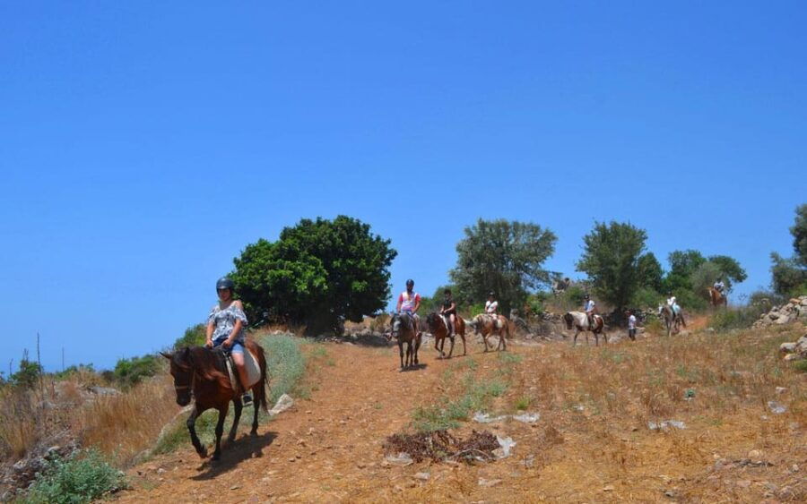 Alanya: Private Horse Safari - Overview of Private Horse Safari