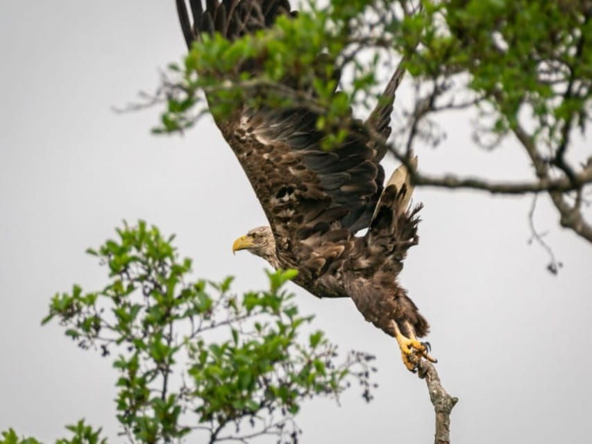 Anklam: Guided Hiking Tour in Peenetal Nature Park