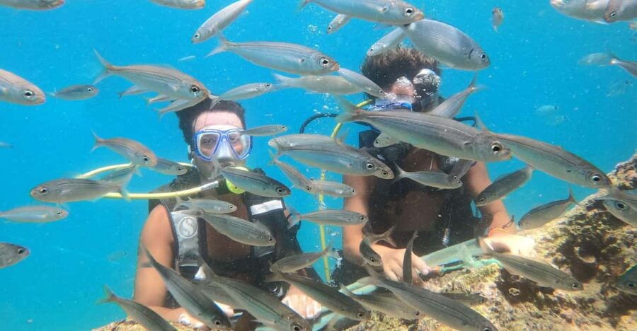 Antalya Scuba Diving by Boat Tours With Lunch - Overview of the Tour