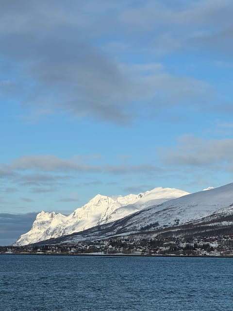 Arctic Nature Tour in Kvaløya With Hot Food and Drinks - Experience Highlights