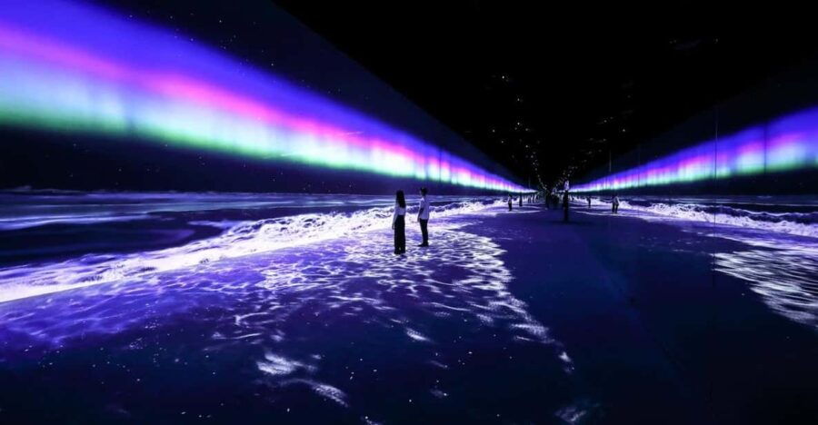 ARTE MUSEUM LAS VEGAS - Immersive Art Exhibition - Overview and Pricing