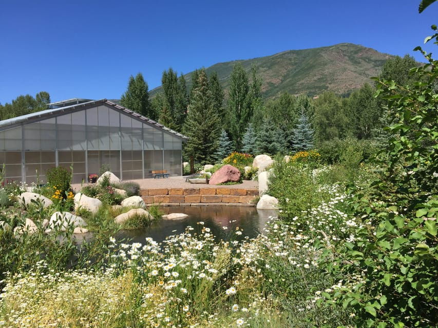 Aspens Off the Beaten Path Scenic Walking Tour