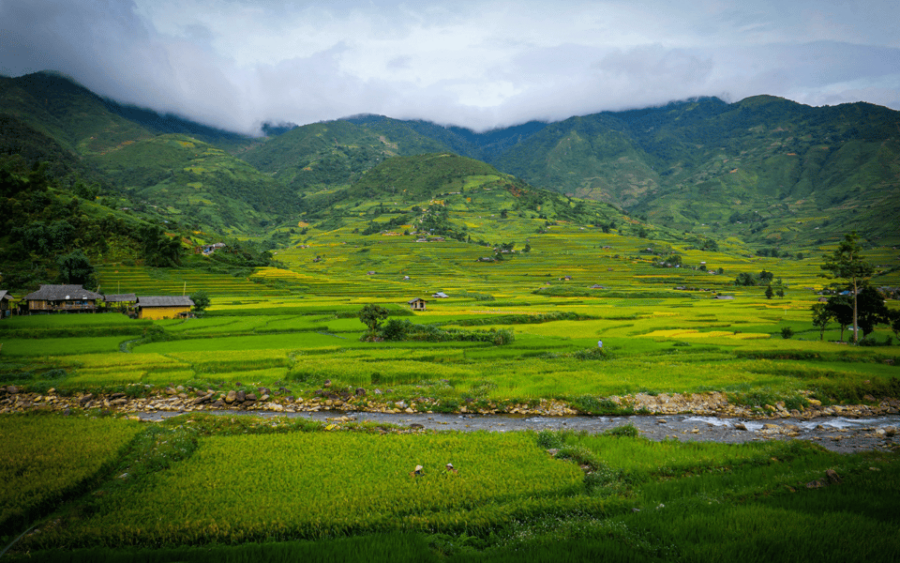 Autumn Yoga Retreat – Mu Cang Chai Rice Terraces