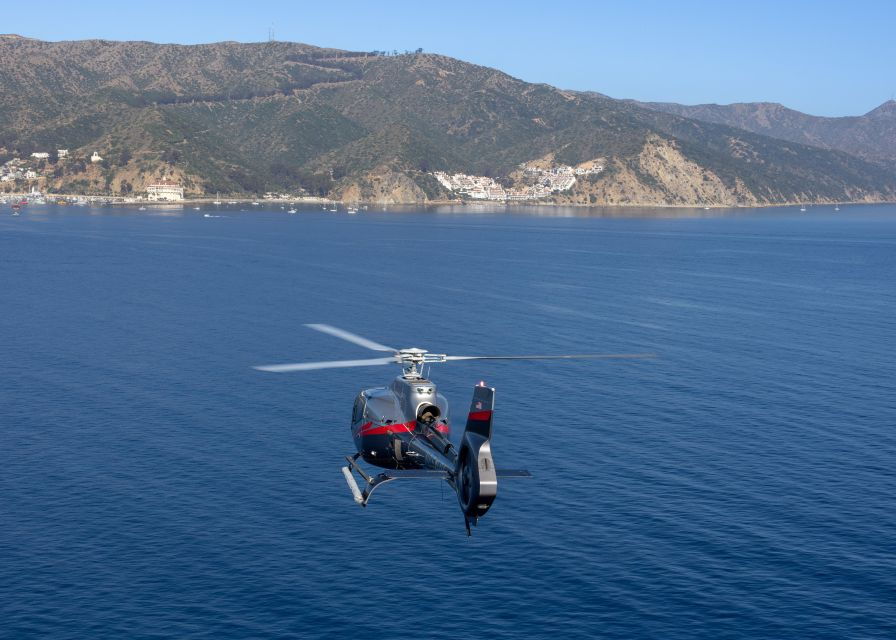Avalon: Santa Catalina Island Aerial Helicopter Tour