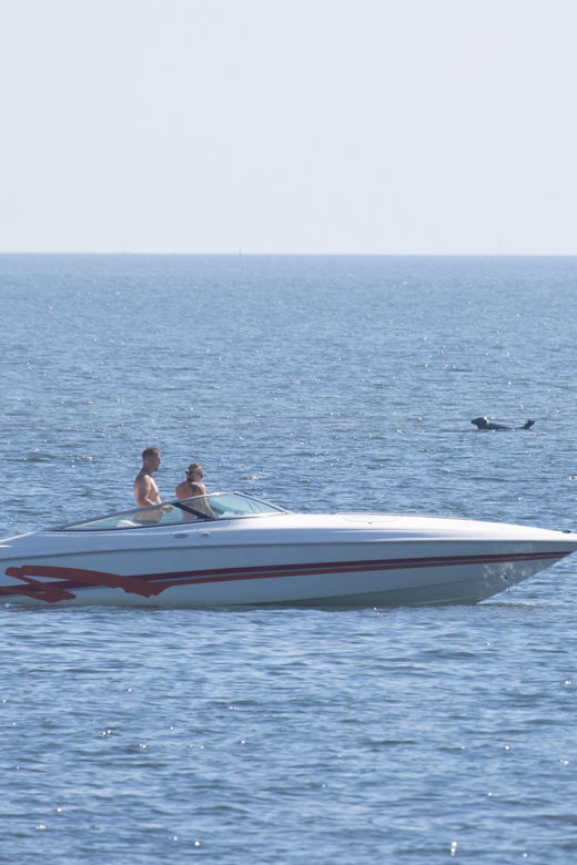Baabe on Rügen: Seal-Spotting Cruise in the Baltic