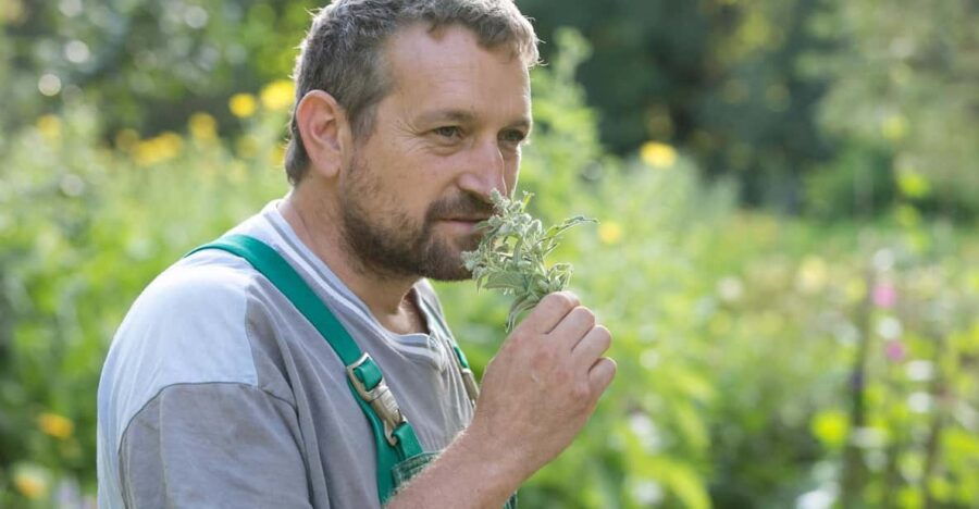 Bad Wörishofen: Herb Tour